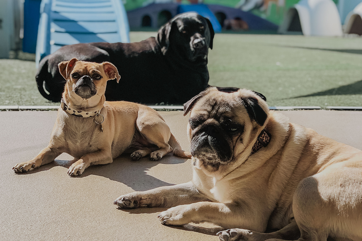 TBA_BH_Boarding_Photos_-090 copy