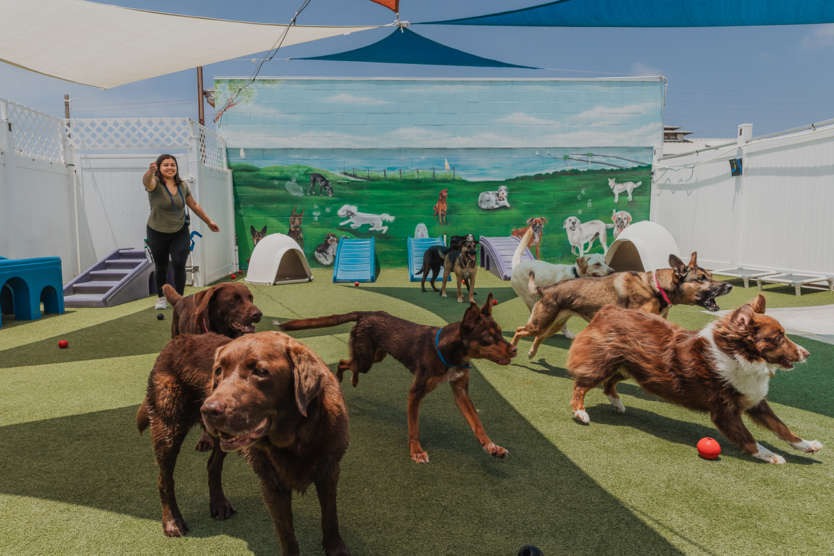 TBA_BH_Daycare_Photos-13